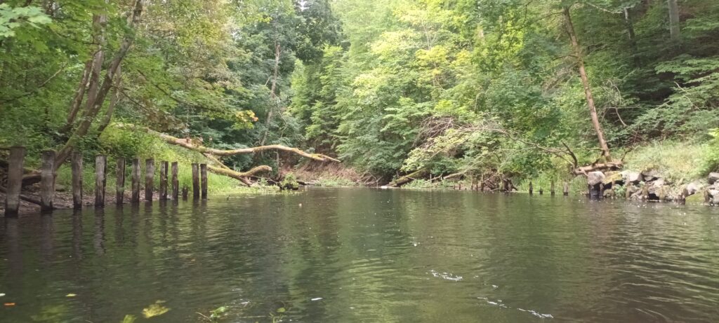 Fiume Drawa visto dalla canoa