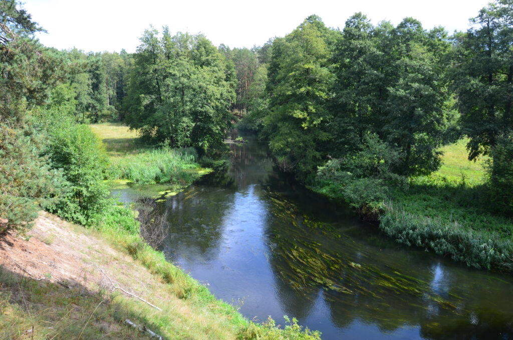 Fiume Drawa visto da Głusko
